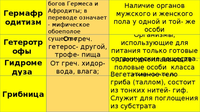 От имен греч. богов Гермеса и Афродиты; в переводе означает - мифическое обоеполое существо. Гермафродитизм Наличие органов мужского и женского пола у одной и той- же особи От греч. гетерос- другой, трофе- пища Организмы, использующие для питания только готовые органические вещества. Гетеротрофы От греч. хидор- вода, влага; Свободноплавающие половые особи класса гидроидных. Гидромедуза Грибница Вегетативное тело гриба (таллом), состоит из тонких нитей- гиф. Служит для поглощения из субстрата питательных веществ. 