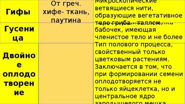 Гифы От греч. хифе- ткань, паутина Микроскопические ветвящиеся нити, образующие вегетативное тело гриба - таллом. Червеобразная личинка бабочек, имеющая членистое тело и не более пяти пар ножек. Гусеница Тип полового процесса, свойственный только цветковым растениям. Заключается в том, что при формировании семени оплодотворяется не только яйцеклетка, но и центральное ядро зародышевого мешка. Двойное оплодотворение 