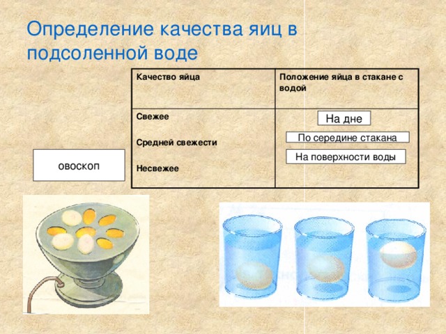 Определение качества яиц в подсоленной воде Качество яйца Положение яйца в стакане с водой Свежее   Средней свежести   Несвежее На дне По середине стакана На поверхности воды овоскоп