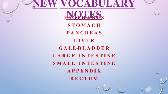 NEW  VOCABULARY  NOTES   E s o p h a g u s S t o m a c h P a n c r e a s L I v e r G a l l-b l a d d e r L a r g e I n t e s t I n e S m a l l I n t e s t I n e A p p e n d I x R e c t u m 