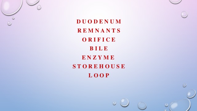 D u o d e n u m R e m n a n t s O r i f i c e B i l e E n z y m e  S t o r e h o u s e L o o p  