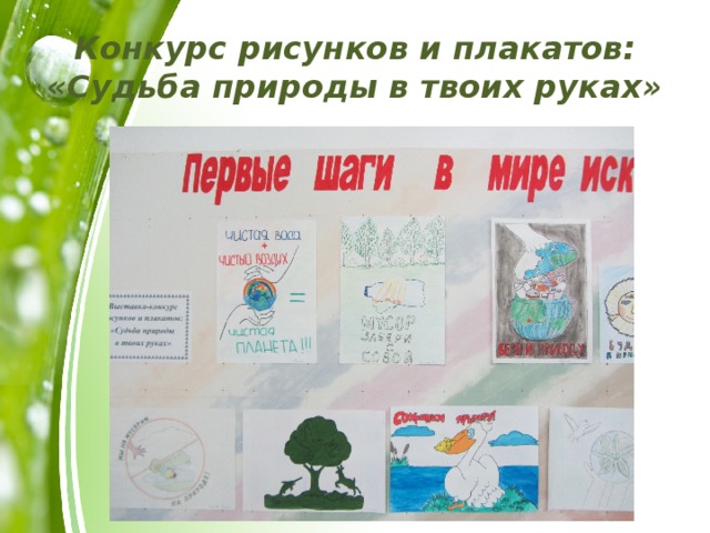 Конкурс рисунков и плакатов: «Судьба природы в твоих руках» 