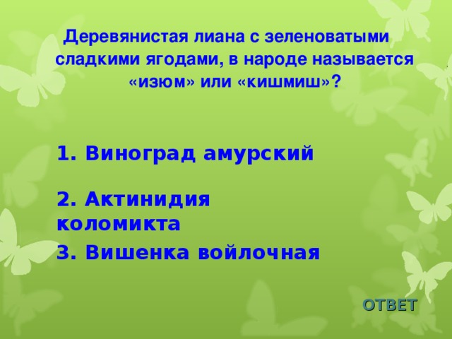 Деревянистая лиана с зеленоватыми сладкими ягодами, в народе называется «изюм» или «кишмиш»?  1. Виноград амурский 2. Актинидия коломикта 3. Вишенка войлочная ОТВЕТ 