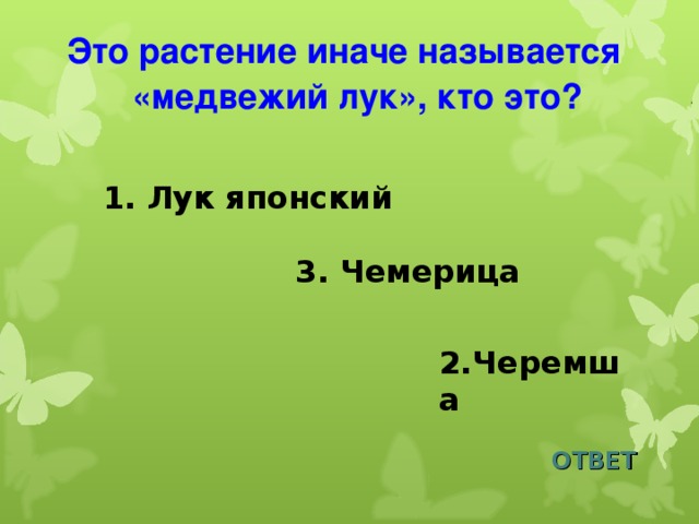 Это растение иначе называется «медвежий лук», кто это?  1. Лук японский 3. Чемерица 2.Черемша ОТВЕТ 