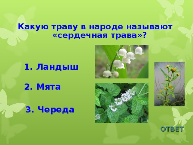 Какую траву в народе называют «сердечная трава»? 1. Ландыш 2. Мята 3. Череда ОТВЕТ 