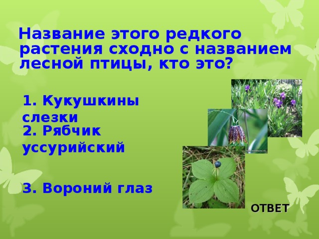  Название этого редкого растения сходно с названием лесной птицы, кто это?  1. Кукушкины слезки 2. Рябчик уссурийский 3. Вороний глаз ОТВЕТ 