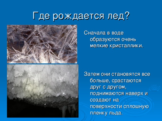 Презентация есть ли жизнь в воде подо льдом 1 класс пнш