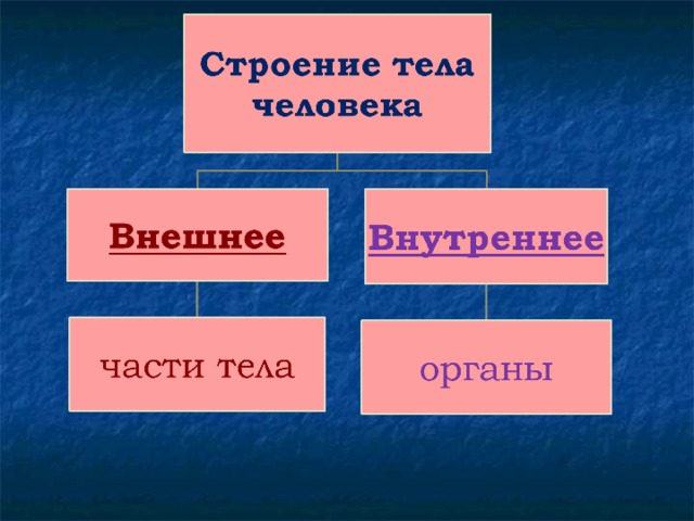 Школа первой помощи 3 класс окружающий мир перспектива презентация