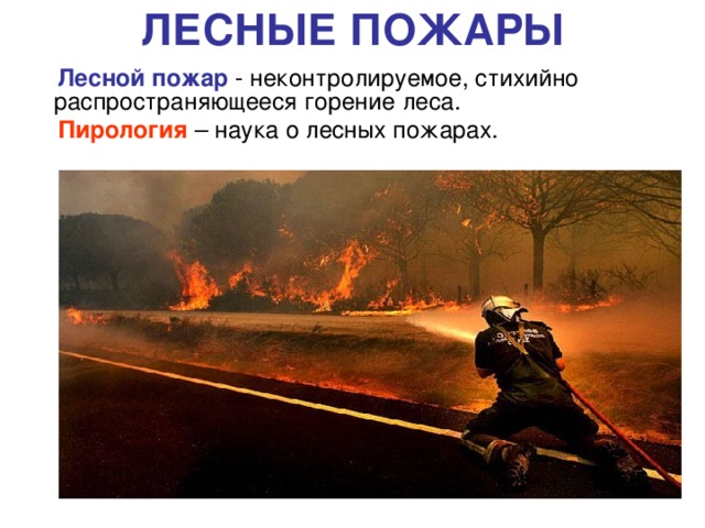 ЛЕСНЫЕ ПОЖАРЫ  Лесной пожар - неконтролируемое, стихийно распространяющееся горение леса.  Пирология – наука о лесных пожарах.