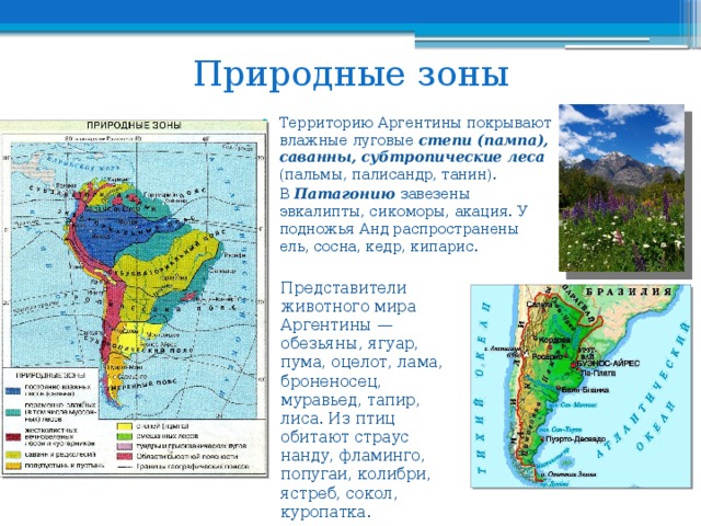 Природные зоны бразилии почва. Климатическая карта Аргентины. Патагония на карте Южной Америки природная зона. Природные зоны Южной Америки 7 класс. Карта природных зон Бразилии.
