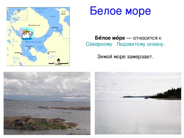 Где белое море