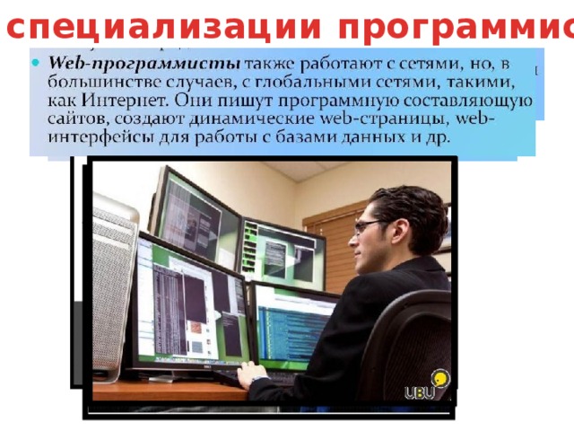 3 специальности. Специализации программистов. Специализации профессии программист. Специализации web разработчика. Интересные факты о профессии программист.
