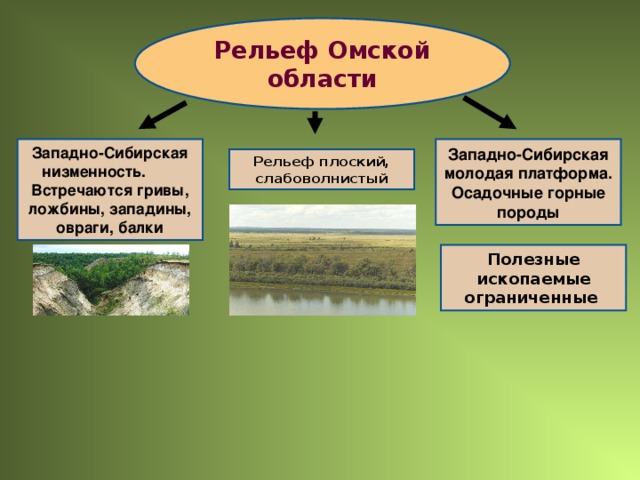 Назовите особенности геологического строения и рельефа. Рельеф Омской области. Характеристика рельефа Омской области. Плоский рельеф. Полезные ископаемые Омской области.