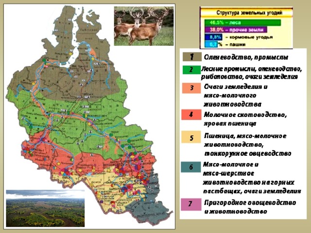 Центры угледобывающей промышленности ростовской области карта