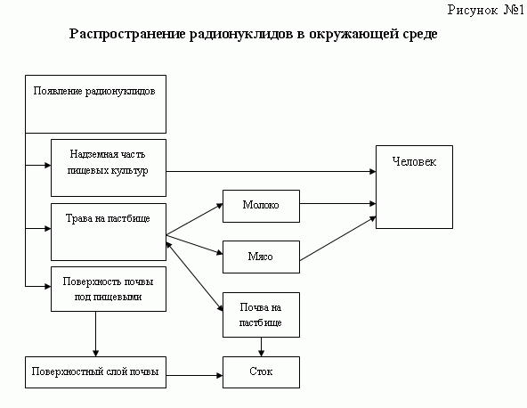 Схема миграции радионуклидов во внешней среде