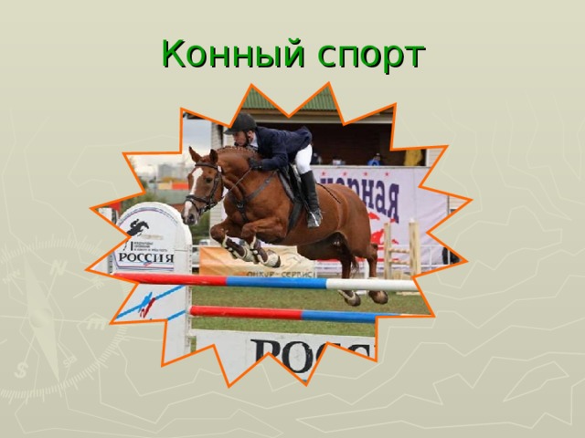 Конный спорт 