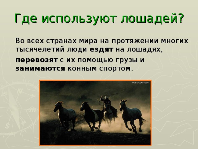 Где используют лошадей?  Во всех странах мира на протяжении многих тысячелетий люди ездят на лошадях,  перевозят с их помощью грузы и занимаются конным спортом. 