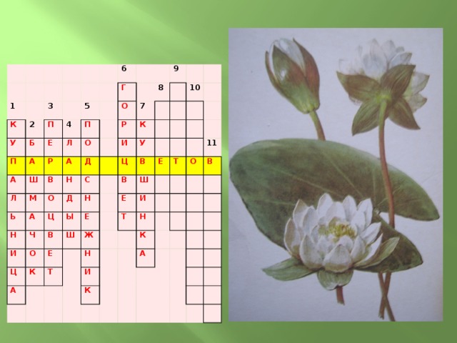 Кроссворд растения 7 класс. Кроссворд комнатные растения. Кроссворд на тему самые самые растения. Кроссворд растения красной книги. Кроссворд из цветов.