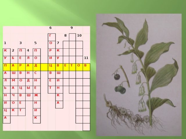 Кроссворд растения. Кроссворд растения красной книги. Кроссворд растения России. Кроссворд по биологии растения красной книги. Кроссворд охраняемые растения.