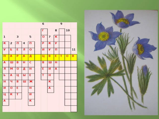 Кроссворд цветочек. Кроссворд комнатные растения. Кроссворд из цветов. Кроссворд растения красной книги. Кроссворд комнатные растения с ответами.