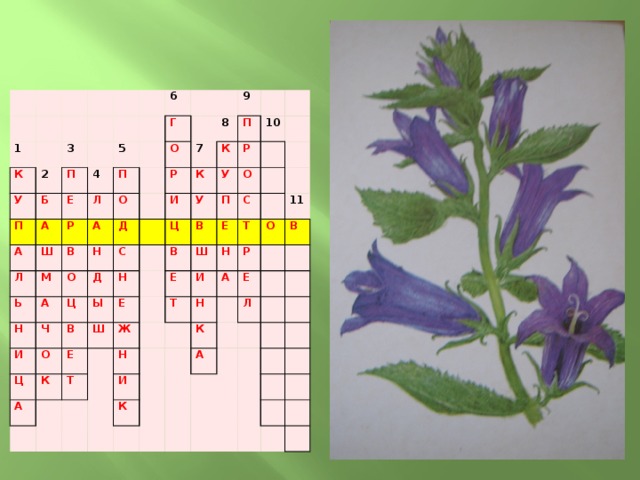Кроссворд растения 7 класс