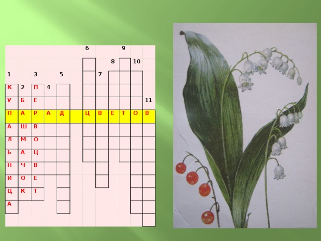 Кроссворд растения 7 класс. Кроссворд на тему красная книга. Кроссворд растения красной книги. Кроссворд про редких растений. Кроссворд на тему редкие растения.