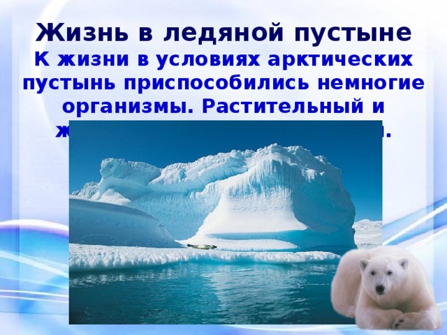 Жизнь в ледяной пустыне К жизни в условиях арктических пустынь приспособились немногие организмы. Растительный и животный мир очень скуден. 