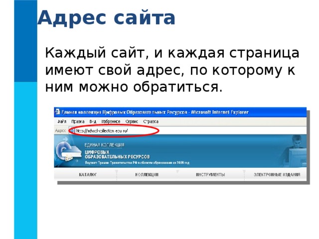 Как называется адрес по которому можно обратиться к компьютеру в сети интернет