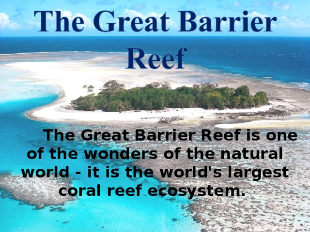  The Great Barrier Reef is one of the wonders of the natural world - it is the world's largest coral reef ecosystem. 
