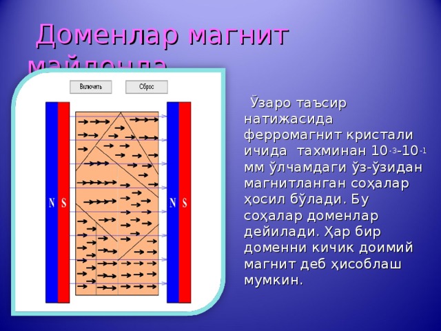  Доменлар магнит майдонда  Ўзаро таъсир натижасида ферромагнит кристали ичида тахминан 10 -3 -10 -1 мм ўлчамдаги ўз-ўзидан магнитланган соҳалар ҳосил бўлади. Бу соҳалар доменлар дейилади. Ҳар бир доменни кичик доимий магнит деб ҳисоблаш мумкин. 