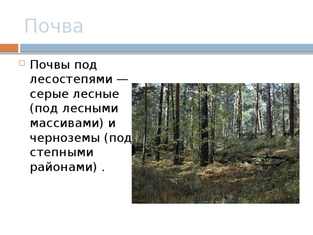 Почва Почвы под лесостепями — серые лесные (под лесными массивами) и черноземы (под степными районами) . 