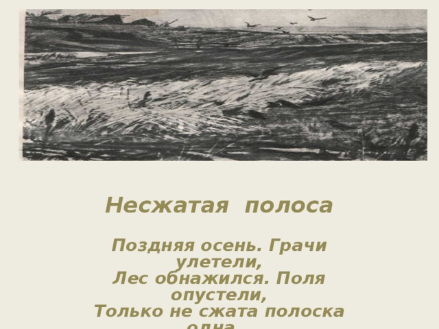 Стихотворение несжатая полоса. Некрасова Несжатая полоса. Николай Некрасов Несжатая полоса. Стих Некрасова Несжатая полоса. Н.А. Некрасова 