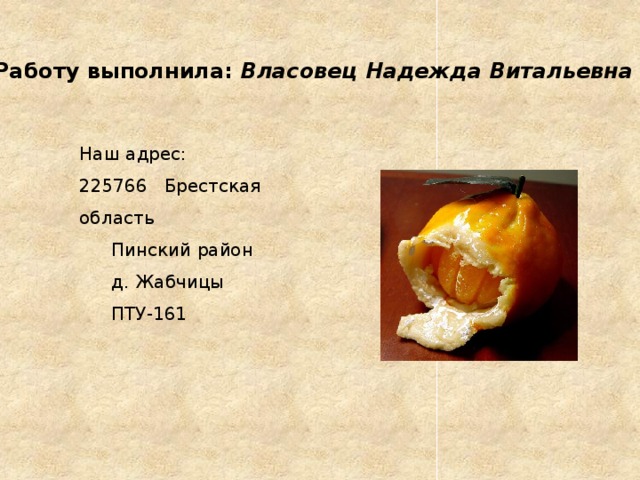 Работу выполнила: Власовец Надежда Витальевна Наш адрес: 225766 Брестская область  Пинский район  д. Жабчицы  ПТУ-161 