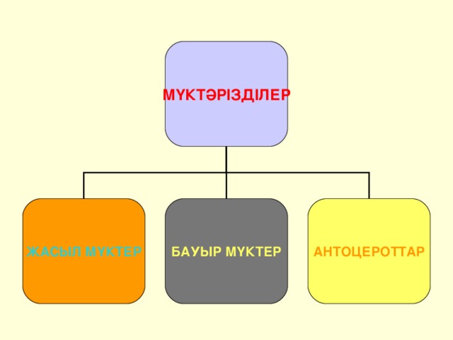 Вектор туралы презентация