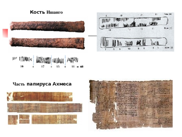Кость Ишанго Часть папируса Ахмеса  