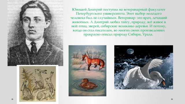 Юношей Дмитрий поступил на ветеринарный факультет Петербургского университета. Этот выбор молодого человека был не случайным. Ветеринар- это врач, лечащий животных. А Дмитрий любил тайгу, природу, всё живое в ней: птиц, зверей, сибирские великаны-деревья. И потому, когда он стал писателем, во многих своих произведениях прекрасно описал природу Сибири, Урала. 