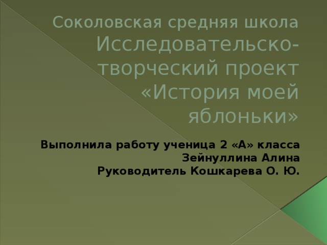 Творческий проект "История одной книги"