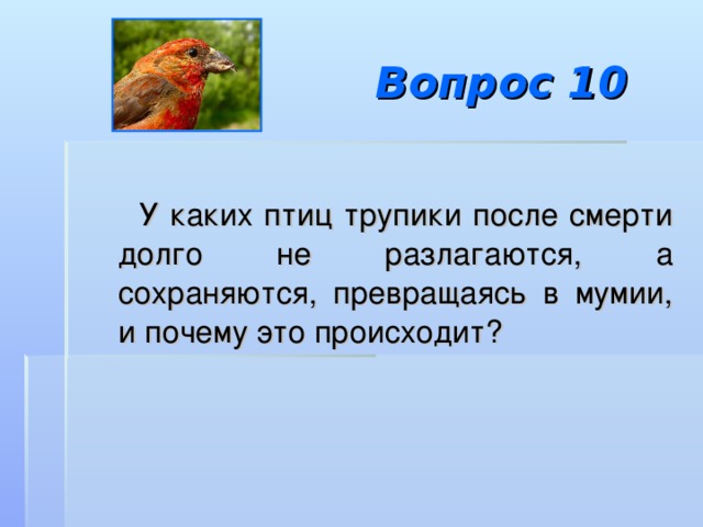 Целый день клест расшатывал клювом железные прутья или выламывал дверцу схема предложения