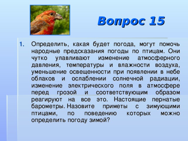 3 класс изложение клесты школа россии презентация обучающее