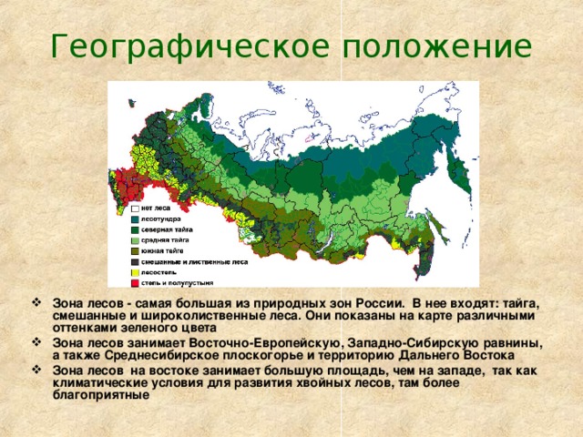 Зона лесов карта