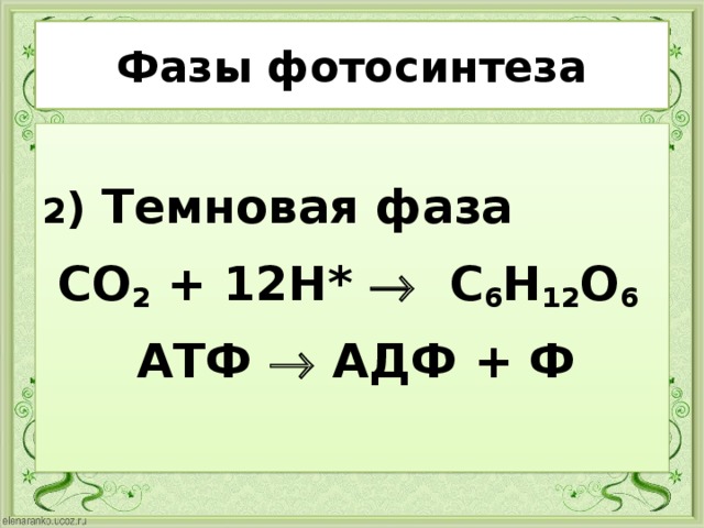 Суммарное уравнение темновой фазы. Темновая фаза фотосинтеза. C6h12o6 АДФ. Co2+h c6h12o6+h2o фотосинтез реакция Темновой фазы.