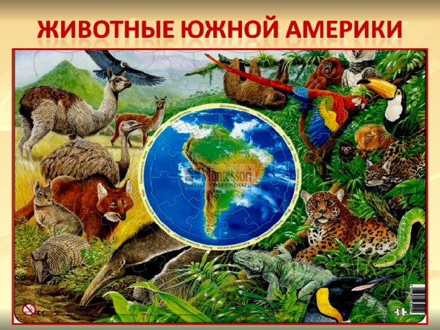 Презентация природные зоны южной америки 7 класс презентация