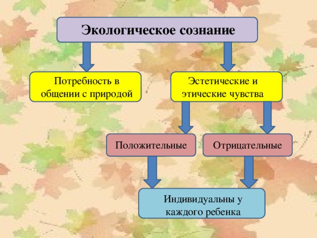 Экологическое сознание молодежи проект