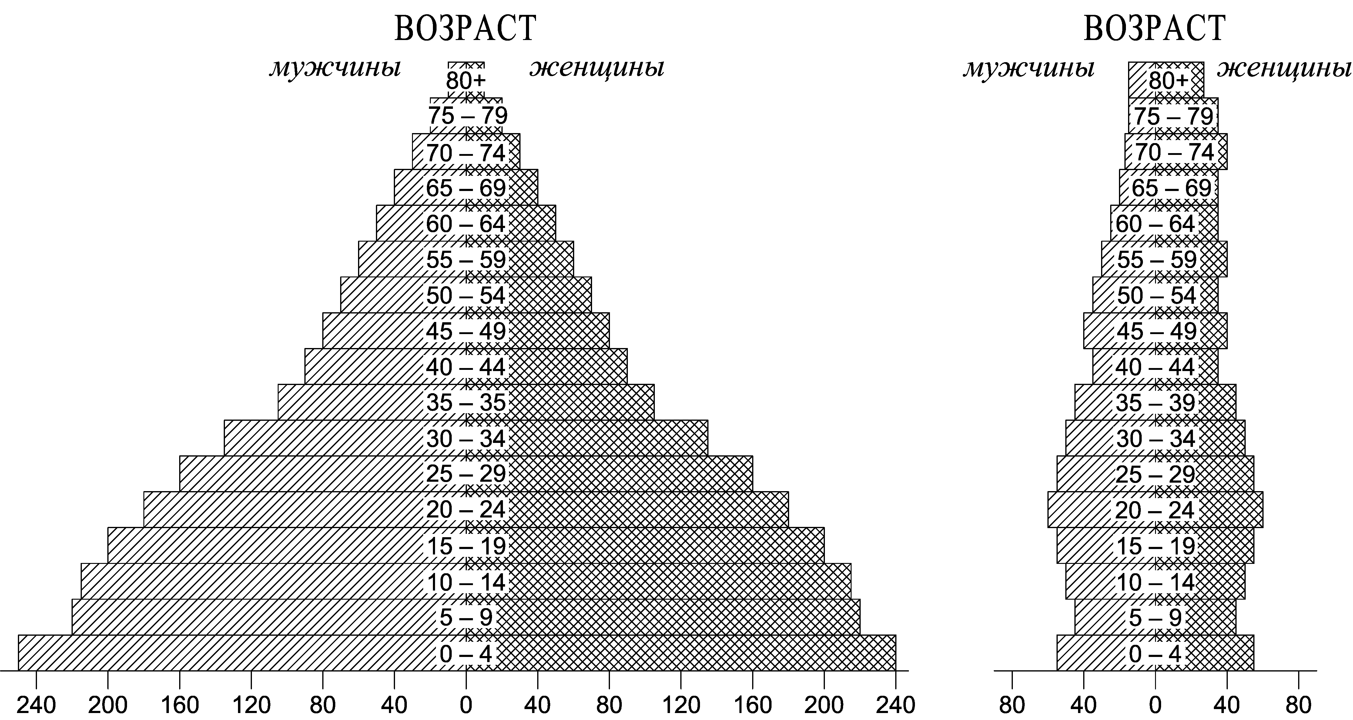 Половозрастная пирамида практическая работа 8 класс