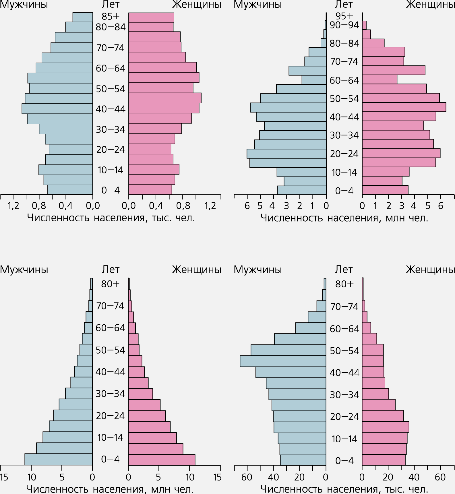 Практическая работа население россии половозрастной состав. Возрастно половая пирамида 10 класс. Половозрастная демографическая пирамида. Возрастно половая пирамида демография.