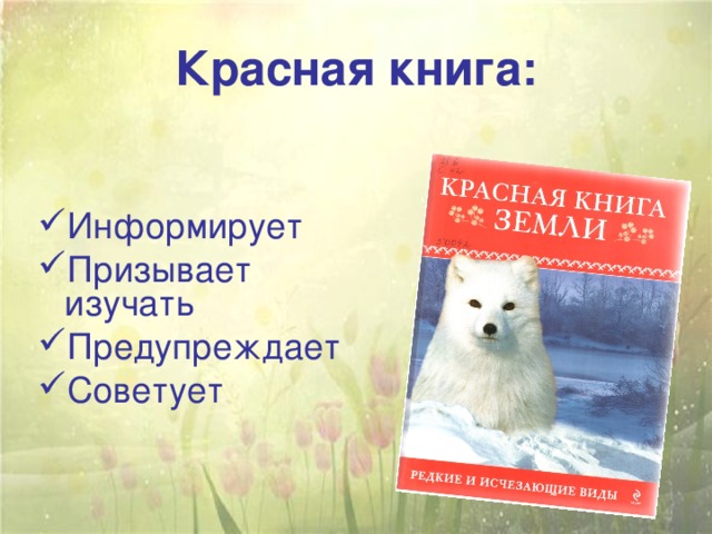 Красная книга краснодарского края презентация кубановедение 1 класс