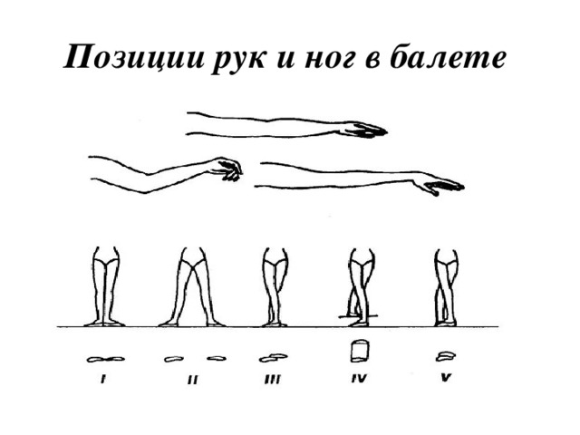 5 позиций в балете картинки