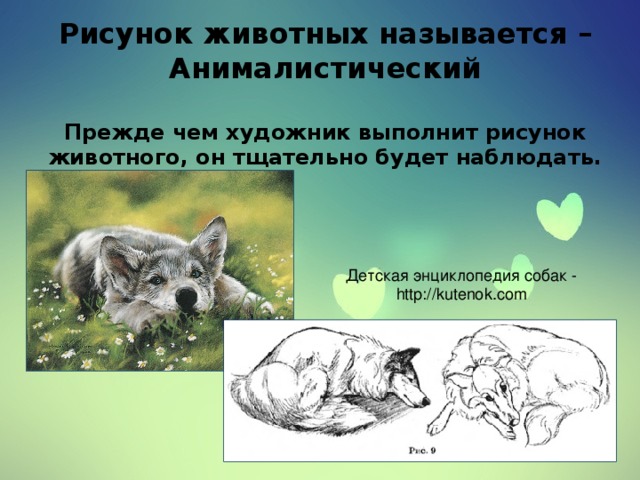 Рисунок животных называется – Анималистический   Прежде чем художник выполнит рисунок животного, он тщательно будет наблюдать.     Детская энциклопедия собак - http://kutenok.com 