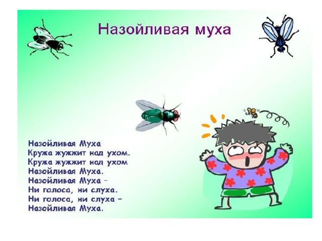 Муха надоедливая