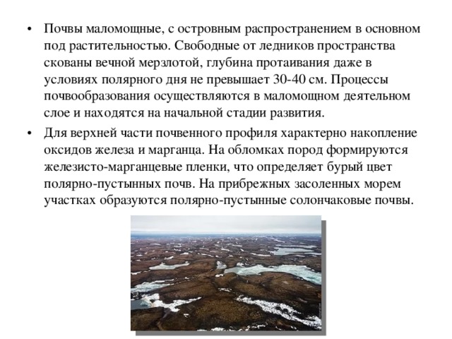 Почвы маломощные, с островным распространением в основном под растительностью. Свободные от ледников пространства скованы вечной мерзлотой, глубина протаивания даже в условиях полярного дня не превышает 30-40 см. Процессы почвообразования осуществляются в маломощном деятельном слое и находятся на начальной стадии развития. Для верхней части почвенного профиля характерно накопление оксидов железа и марганца. На обломках пород формируются железисто-марганцевые пленки, что определяет бурый цвет полярно-пустынных почв. На прибрежных засоленных морем участках образуются полярно-пустынные солончаковые почвы. 